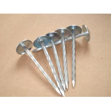 Electric galvanized roofing nail